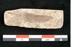 Foto (Detailansicht) von Cinnamomum lanceolatum Unger (NHMW-GEO-2024-0188-8130)